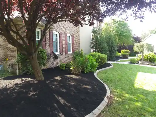 Black mulch bed with curved concrete edging under a red maple