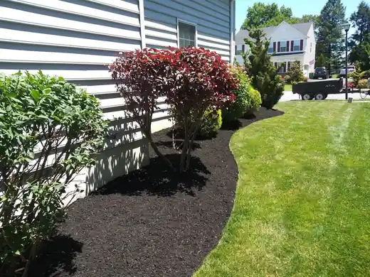 A crisp mulch bed edge along grey siding with a red Japanese maple